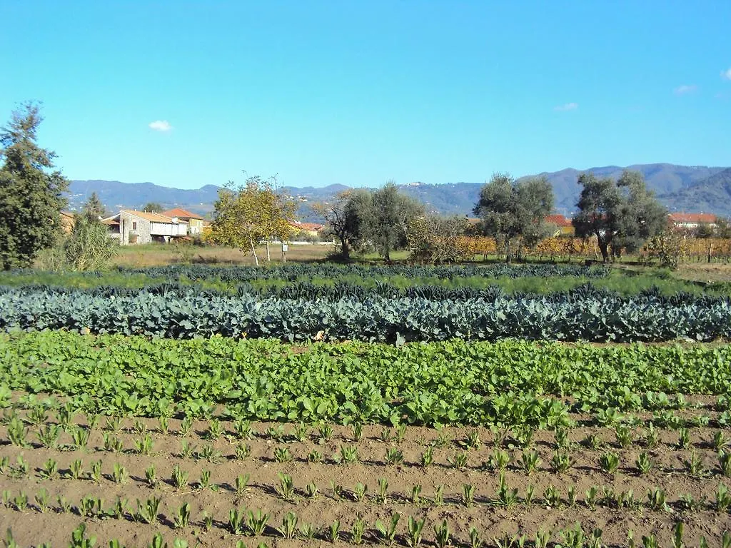 Iacovino Country House Sarzana 0*,  Italia